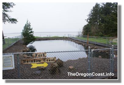 Feed Rainbow Trout at the Whiskey Creek Hatchery