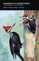 Oregon Coast Birds