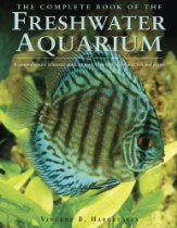 Aquarium