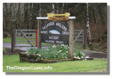 Whiskey Creek Hatchery