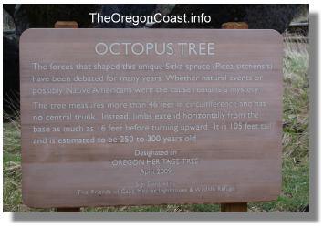 Octopus Tree Sign on the Oregon Coast