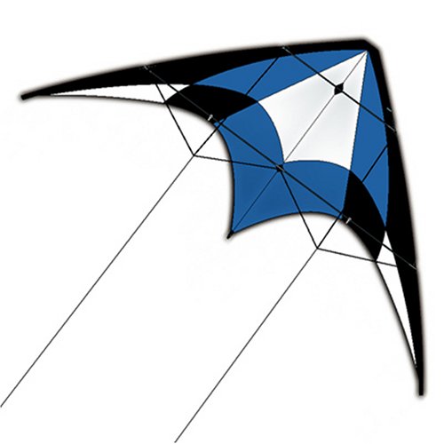 Oregon Coast Fly Kiter
